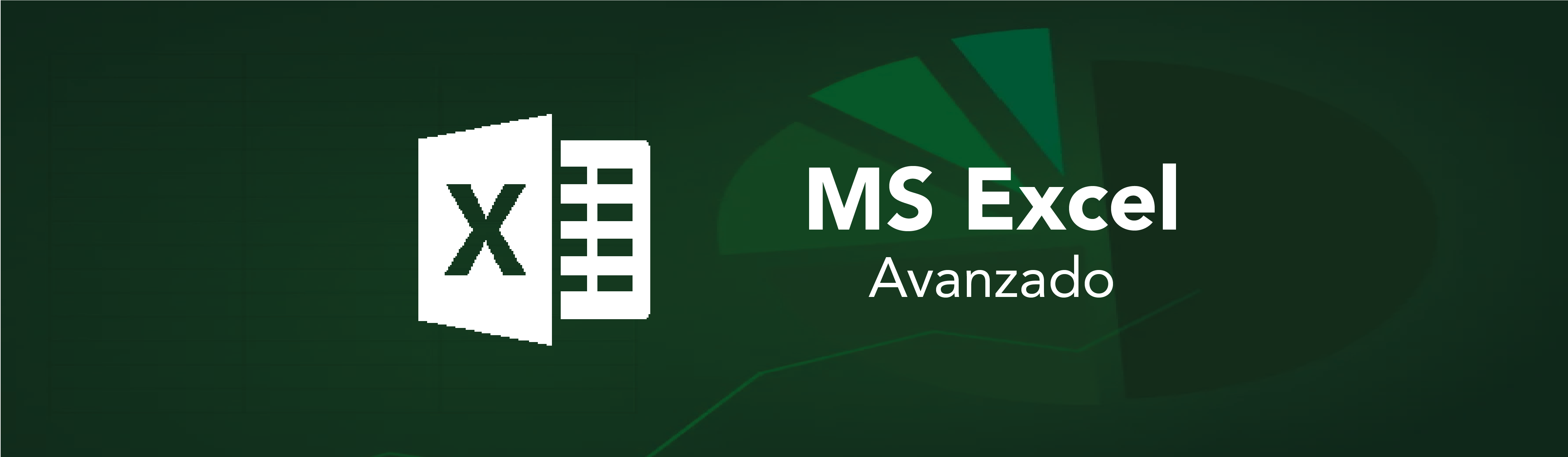 Logo de Excel Avanzado